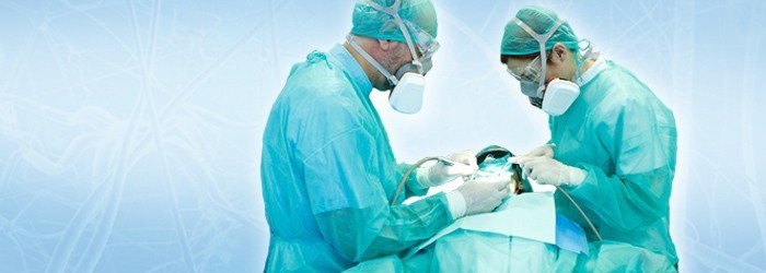 La Odontología Neurofocal: La Influencia Entre los Dientes y la Salud General