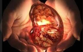 Enfermedad  Renal Crónica: Diagnóstico y Tratamiento