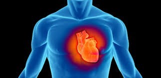 Enfermedades Cardiovasculares: La Primer Causa de Muerte a Nivel Mundial