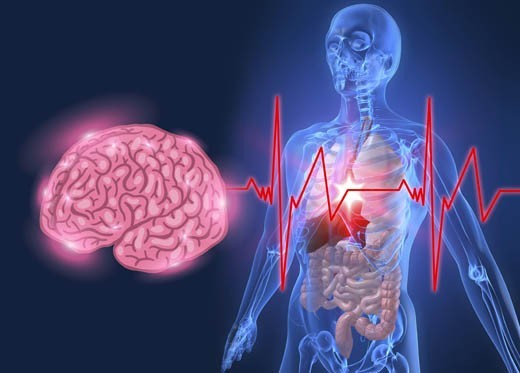 Psiconeuroinmunología: El Estudio de las Interrelaciones Mente-Cuerpo y sus Implicaciones Clínicas
