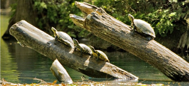 Turismo en México, Atractivos Naturales